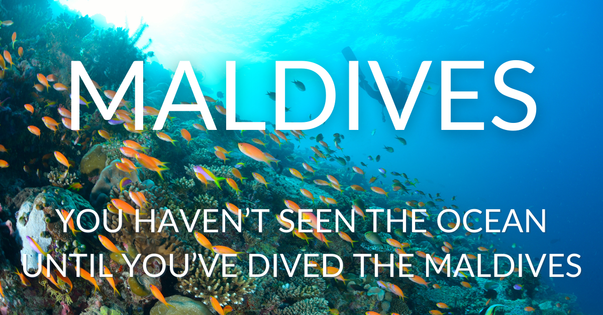 Diving in Maldives