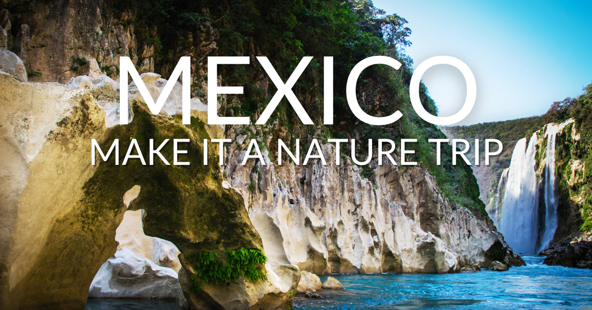 Tampaon River and Tamul Waterfalls in the Huasteca Potosina, San Luis Potosi, Mexico