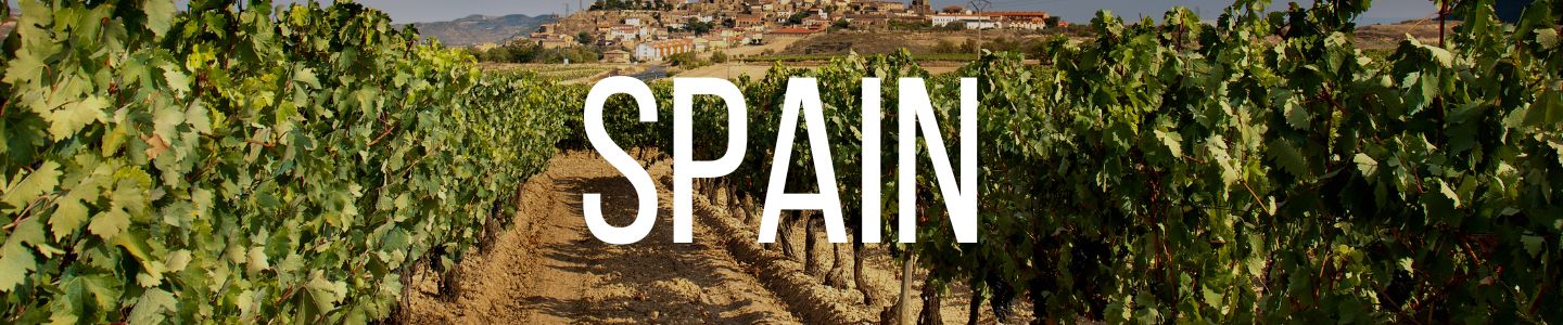 Vineyard and Spanish village with the church and the belfry, La Rioja, Spain