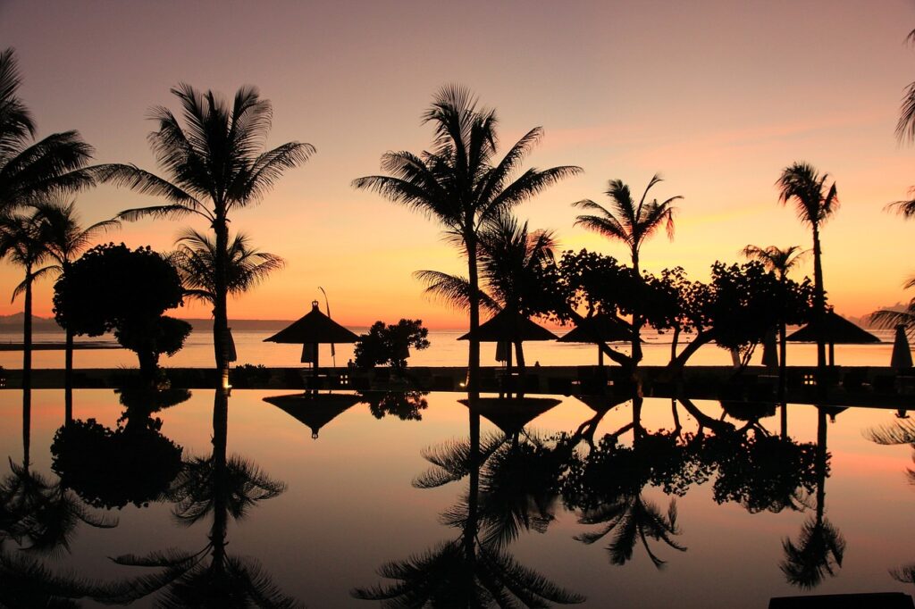 bali, palm trees, sunset