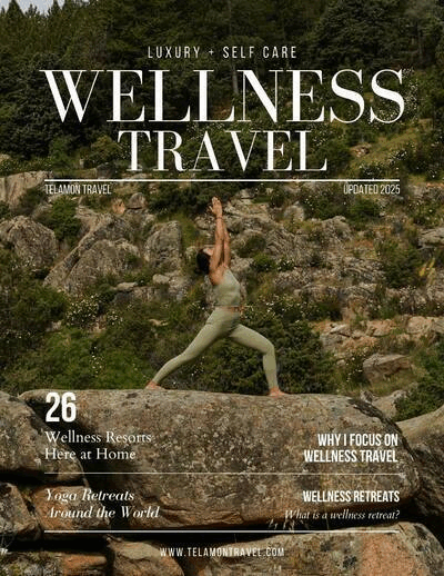 Wellness Travel Guide cover