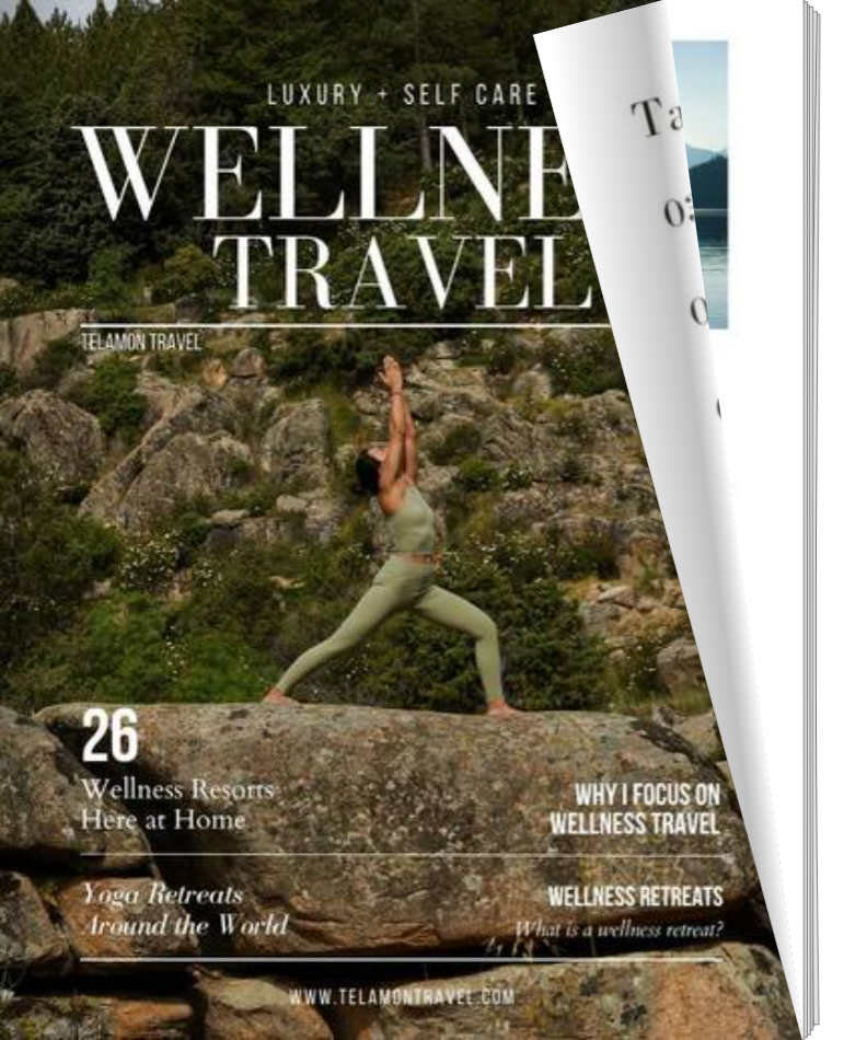 Wellness Travel Guide cover