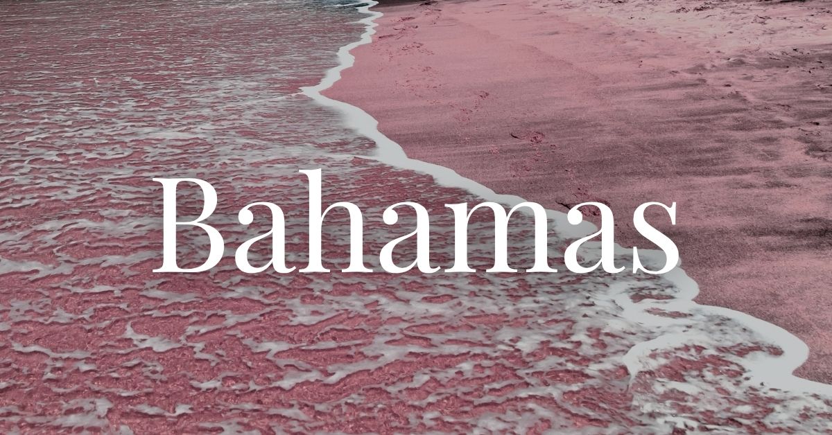 pink sand beach in the Bahamas