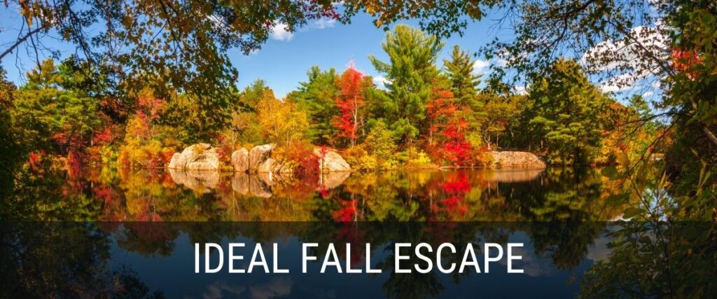 autumn leaves in New England