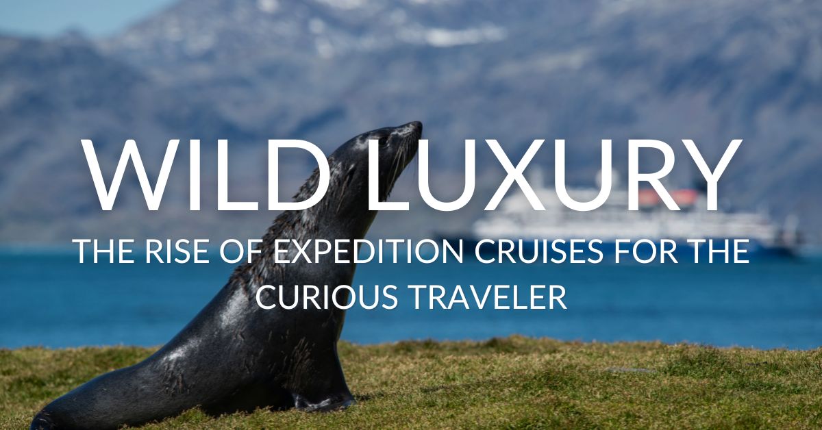 Antarctic fur seal sitting on grassy hill