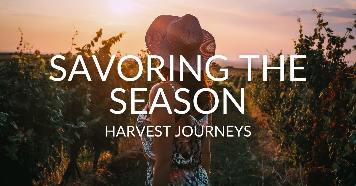 woman in vineyard at dusk