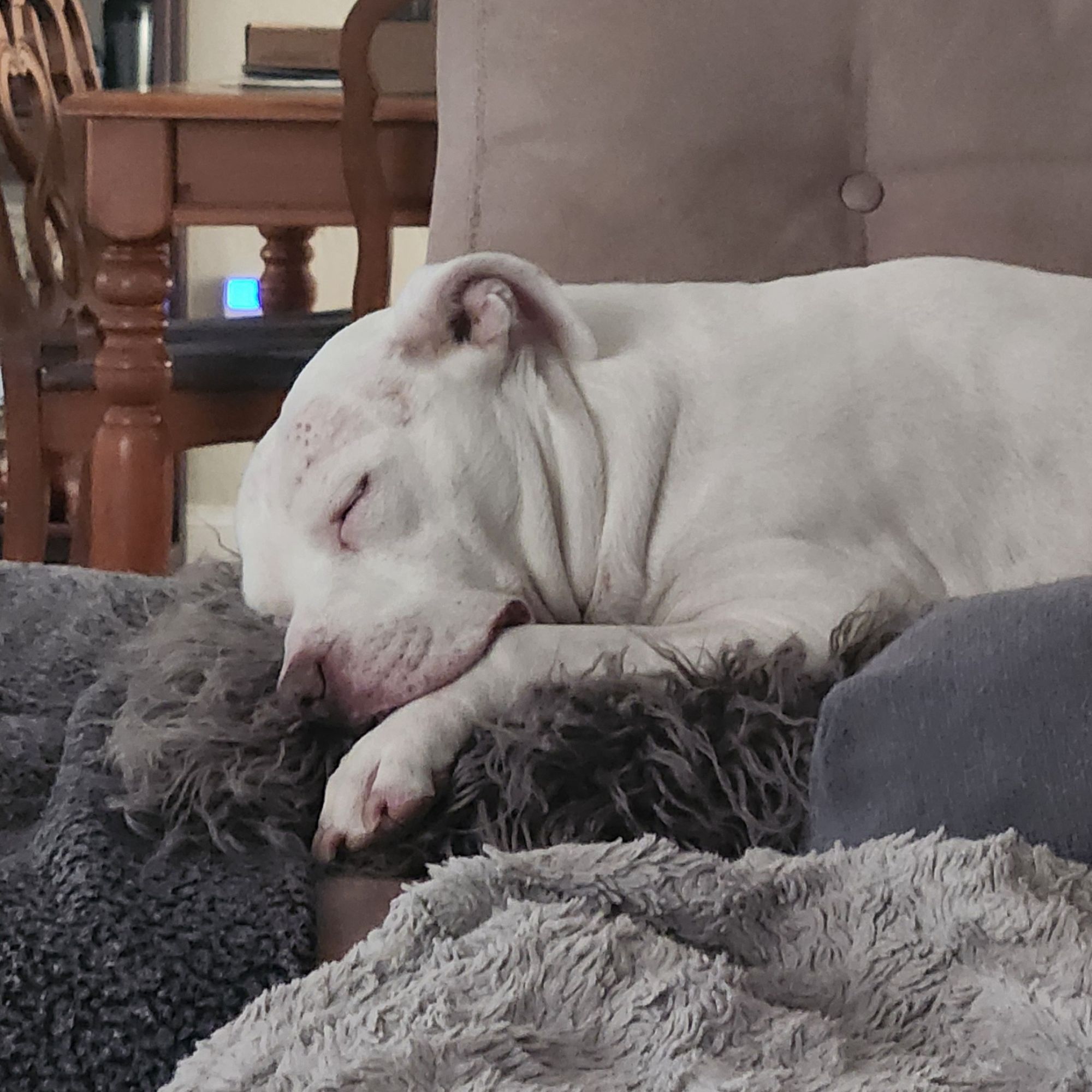 Winnie