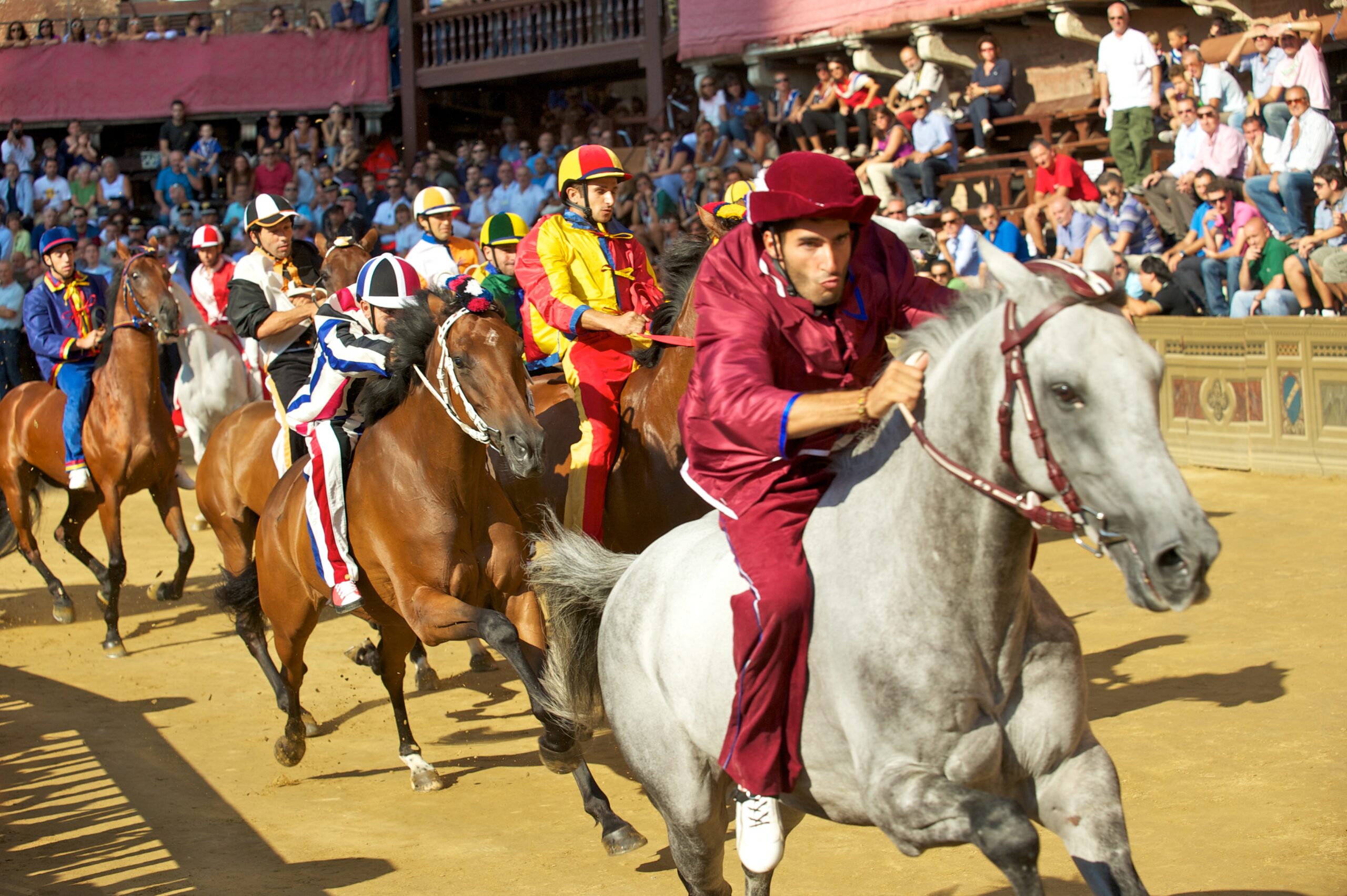 Palio di Siena horse race