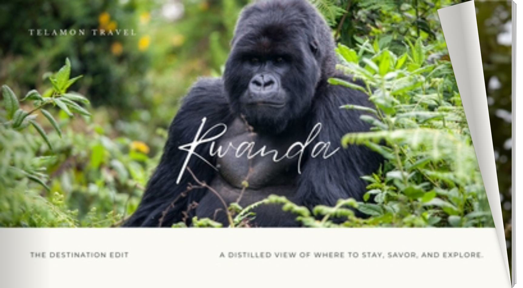 The Destination Edit: Rwanda