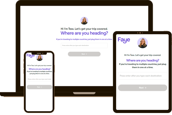 Faye Travel Insurance