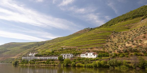 douro, river, fifth, wine, landscape, portugal, tourism, douro, douro, douro, douro, douro