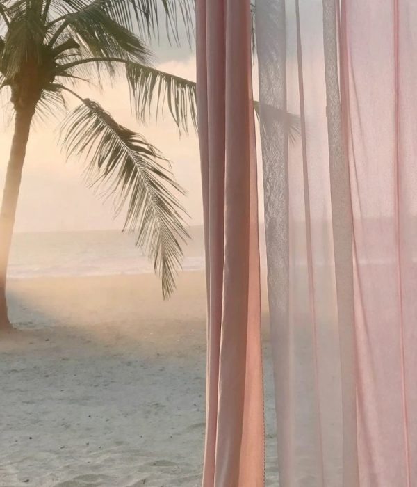 palm tree with sheer curtain