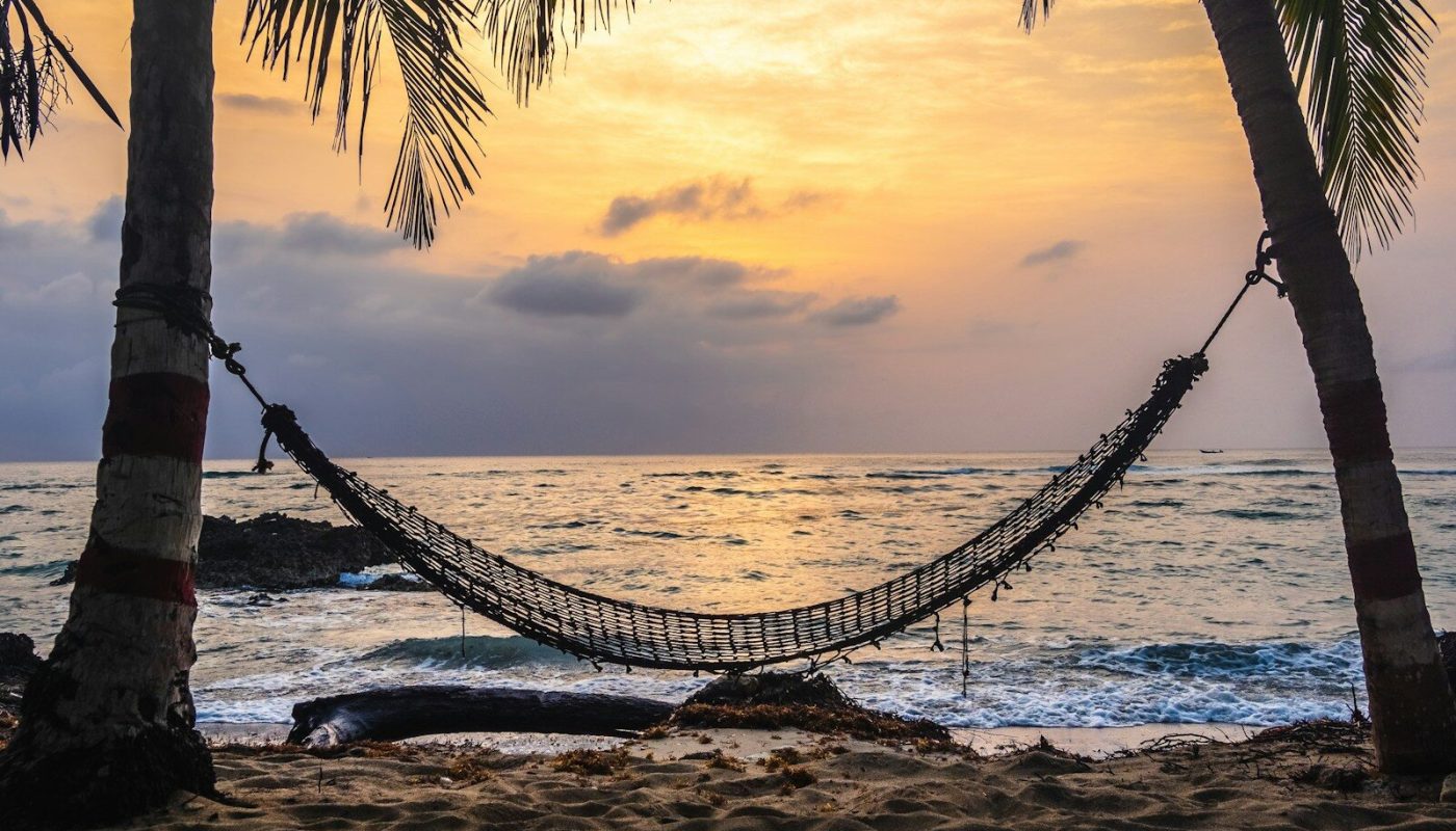 black hammock hanging between coconut tree on beach during golden hour